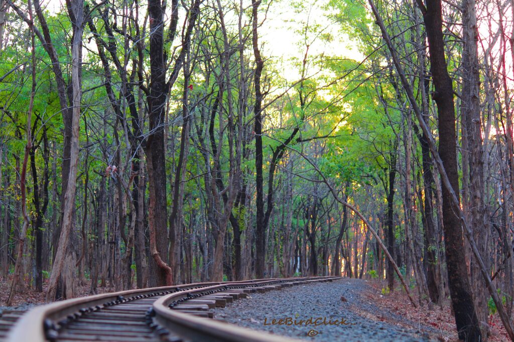 Seminary Hills Nagpur