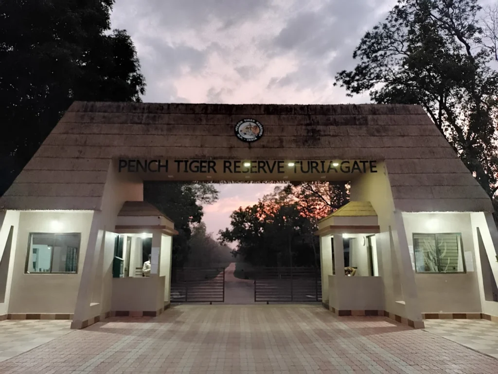 Different taxi cars available for Nagpur to Pench travel, including sedan and SUV